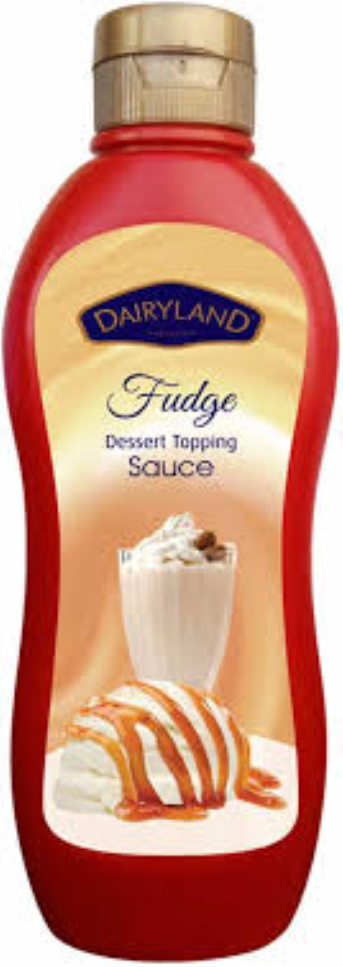 DAIRYLAND FUDGE TOPPING SAUCE 750G